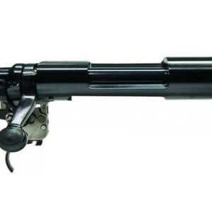remington 308 boltface short action