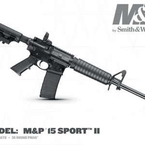 smith wesson mp 15 sport